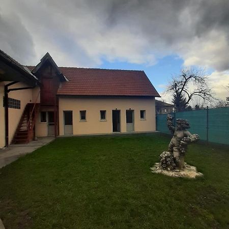 Vila Dionysos Brasov Ghimbav Zewnętrze zdjęcie