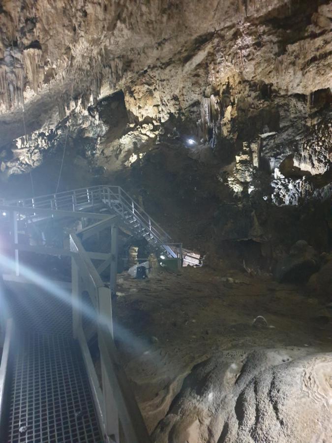 Vila Dionysos Brasov Ghimbav Zewnętrze zdjęcie