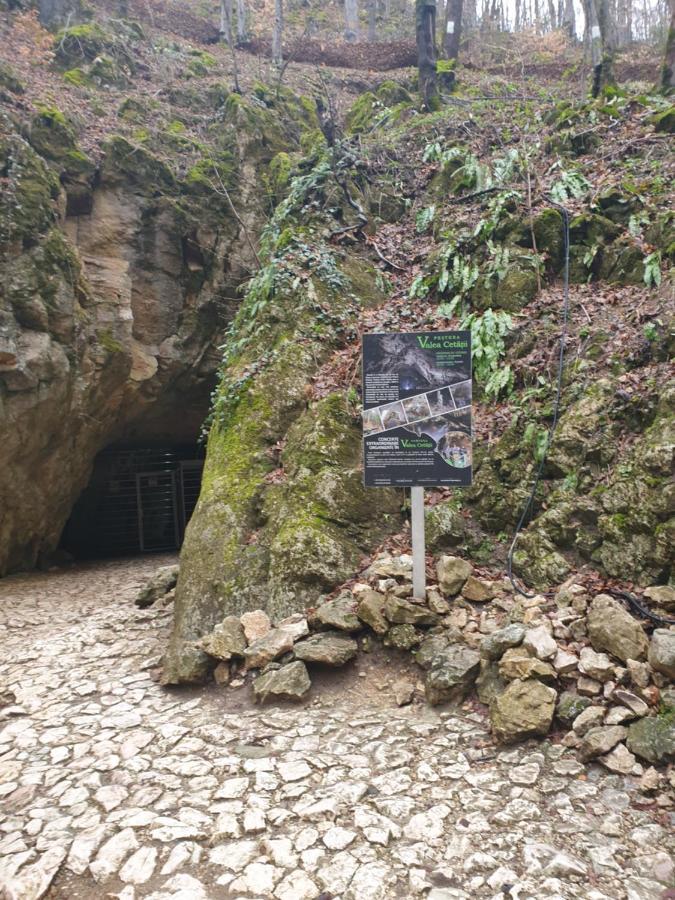 Vila Dionysos Brasov Ghimbav Zewnętrze zdjęcie